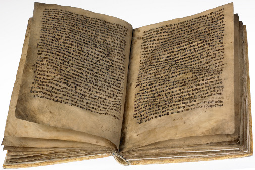 AM 242 fol. Klik her for at bladre i bogen.