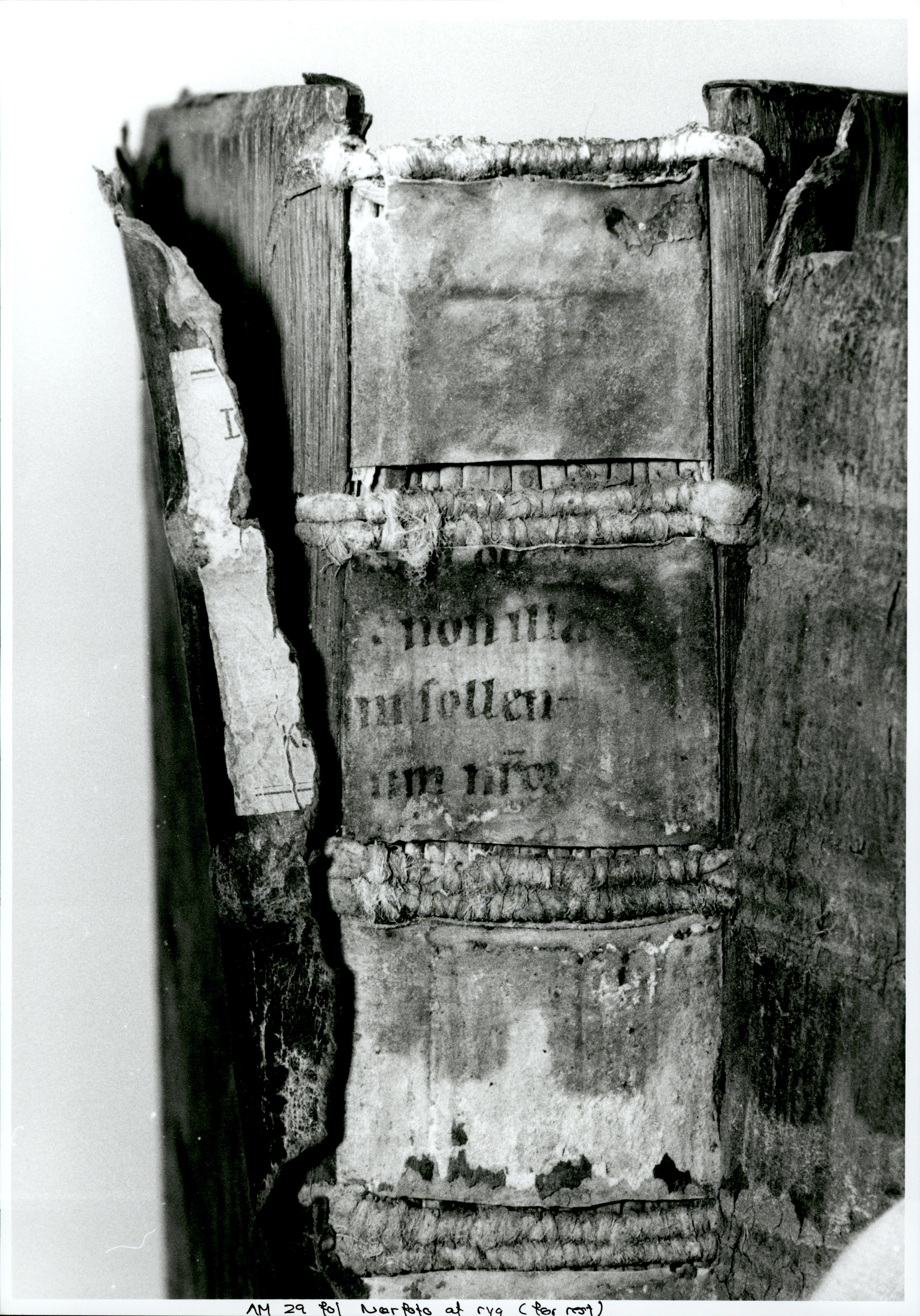 Image of book spine (Digital Collections)