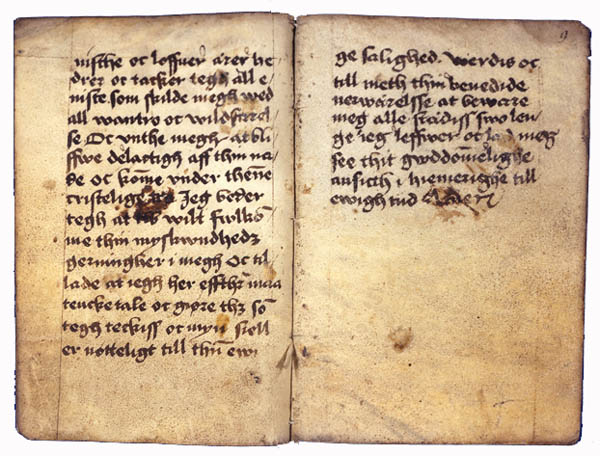 AM 421 12mo, ff. 8v-9r