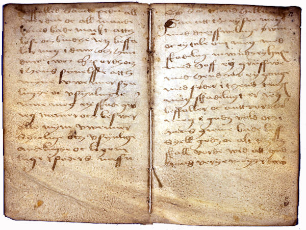 AM 421 12mo, ff. 11v-12r