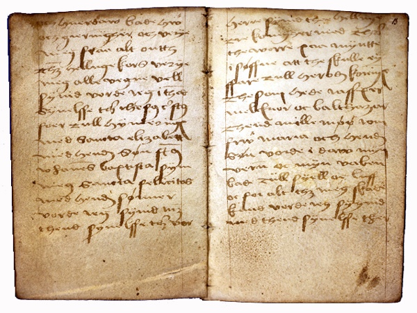 AM 421 12mo, ff. 12v-13r