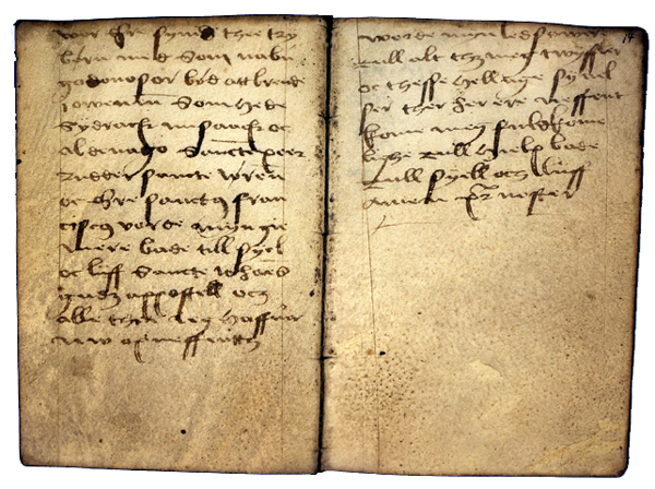 AM 421 12mo, ff. 13v-14r