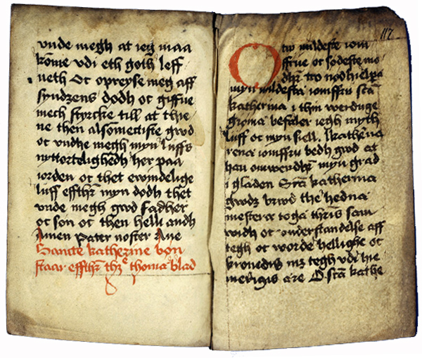 AM 421 12mo, ff. 116v-117r