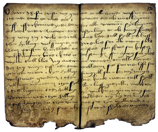 AM 421 12mo, ff. 119v-120r